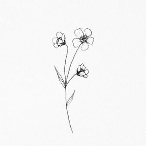 Meet your Posher, Ariana